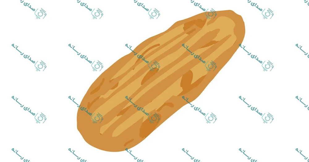 وکتور لایه باز طرح نان بربری